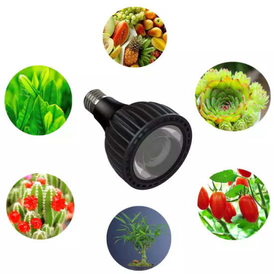 Λάμπα LED παλμικού φωτός PAR 30